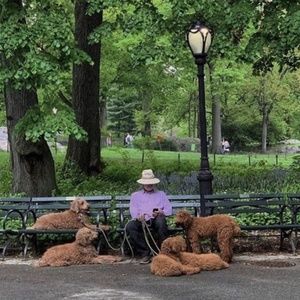 Meet your Posher, Isa